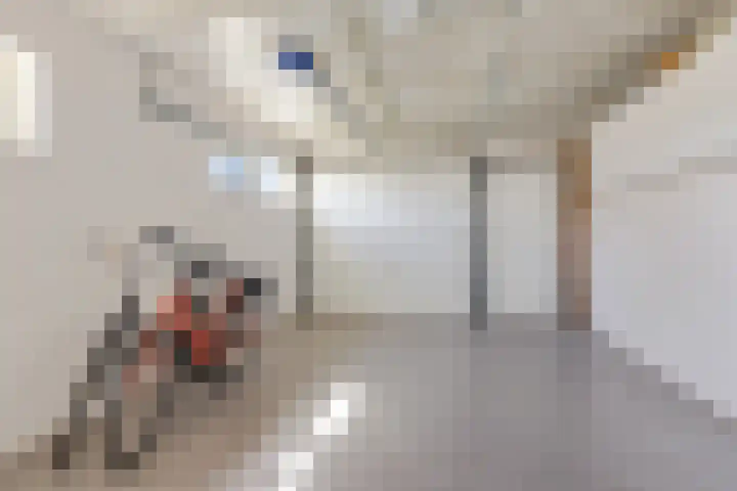 Koning Radboudlaan 17 Creil thumbnail 37
