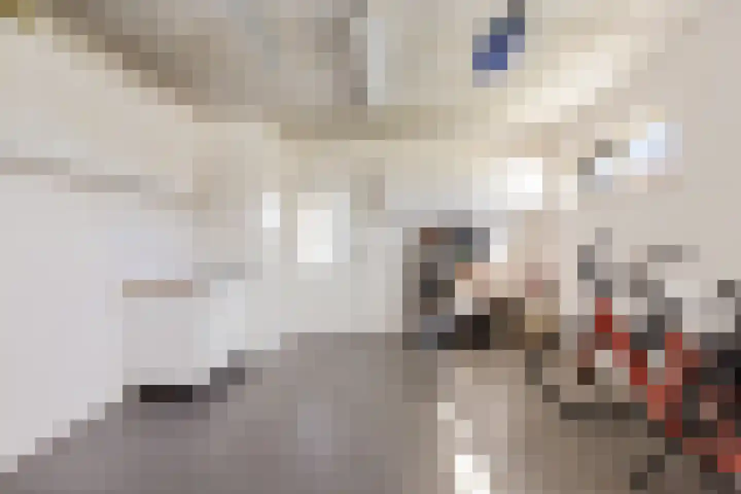 Koning Radboudlaan 17 Creil thumbnail 38