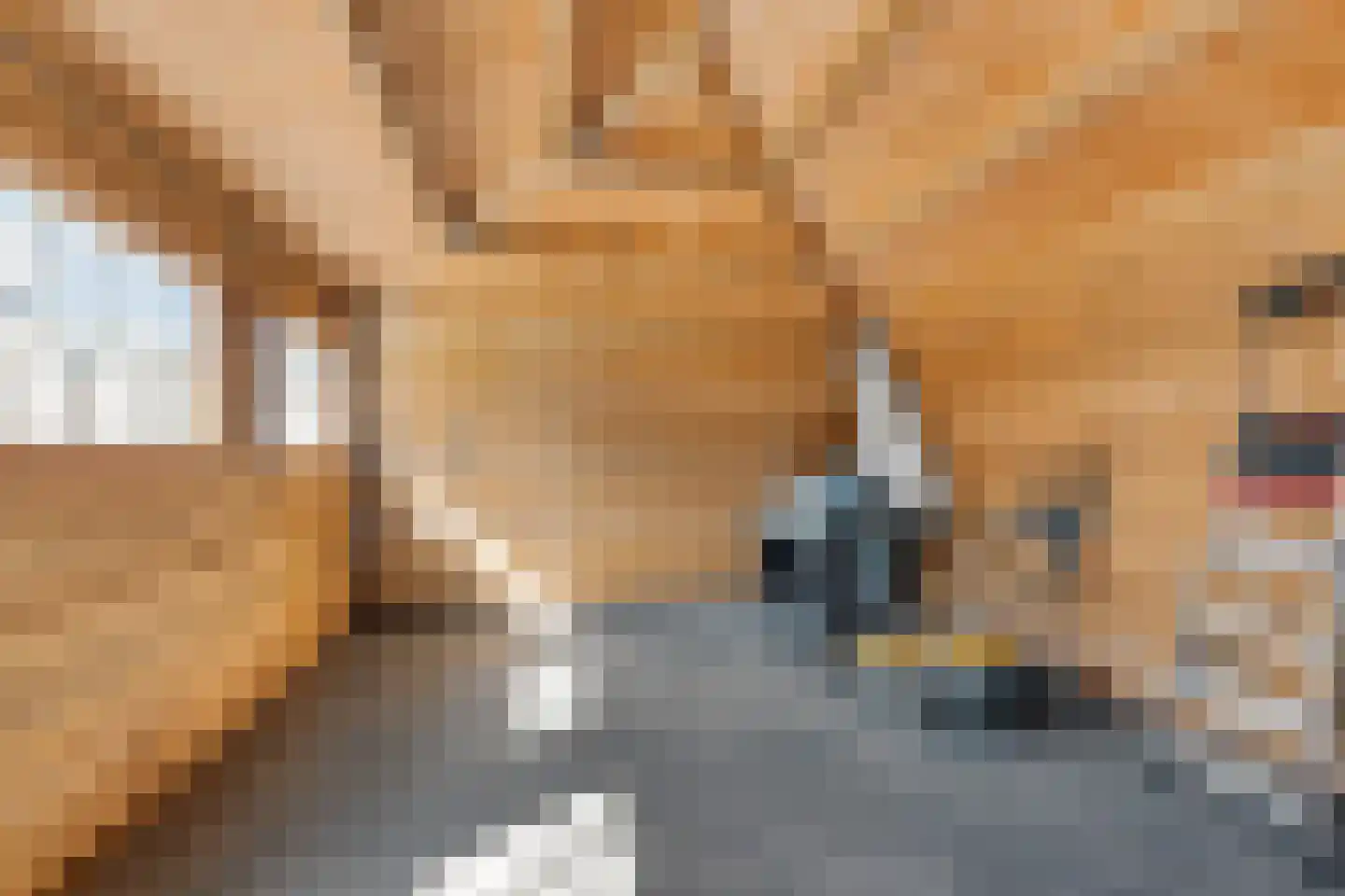 Koning Radboudlaan 17 Creil thumbnail 44