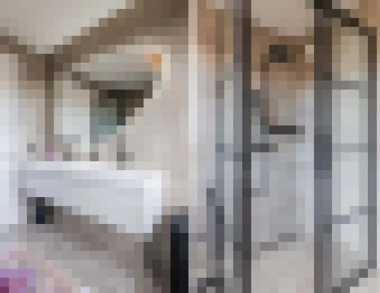 Koning Willem-Alexanderhof 5 Hoogeveen thumbnail 33