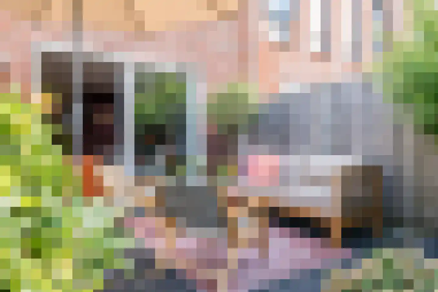 Koning Willem-Alexanderhof 5 Hoogeveen thumbnail 38