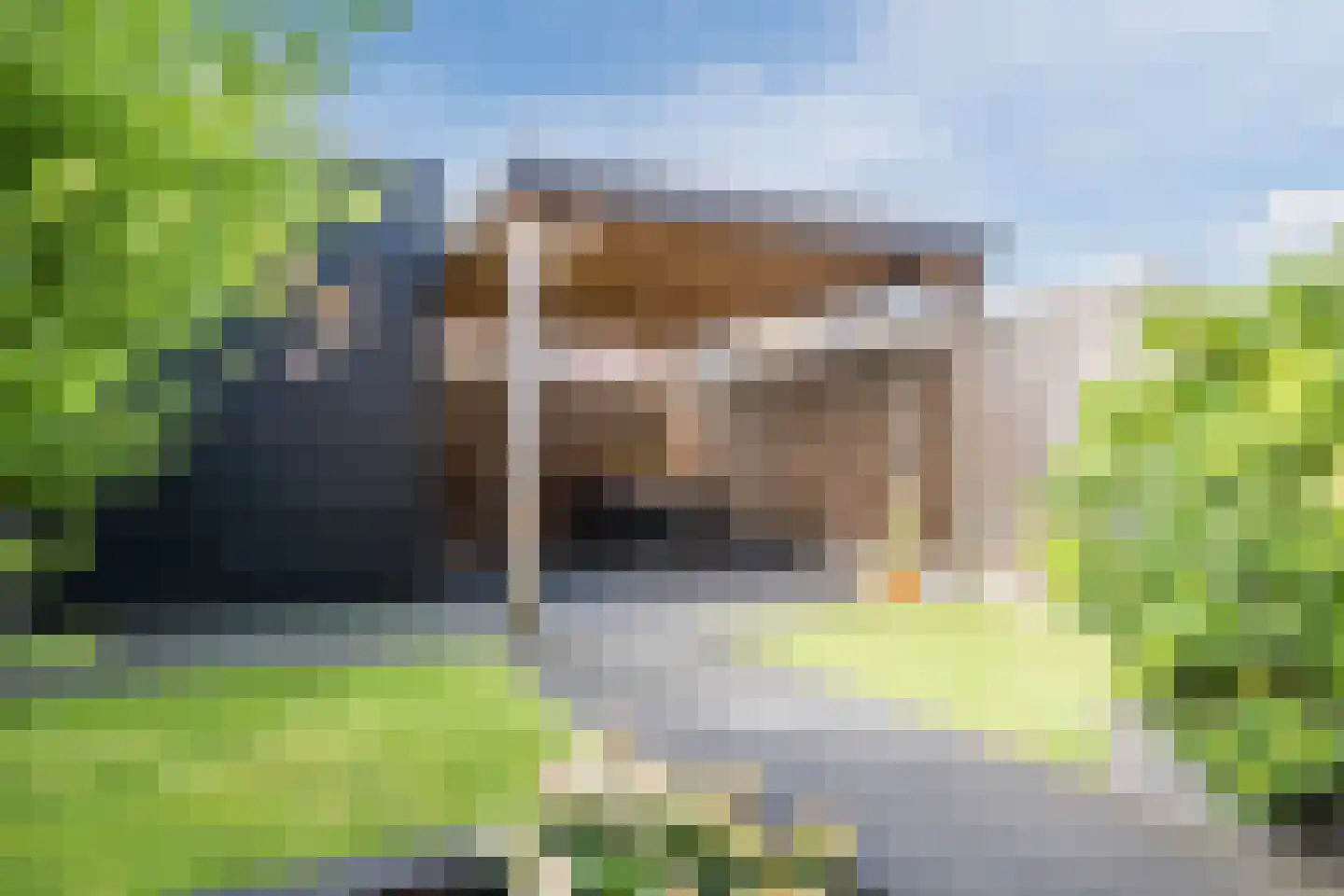 Koning Willem-Alexanderhof 5 Hoogeveen thumbnail 39
