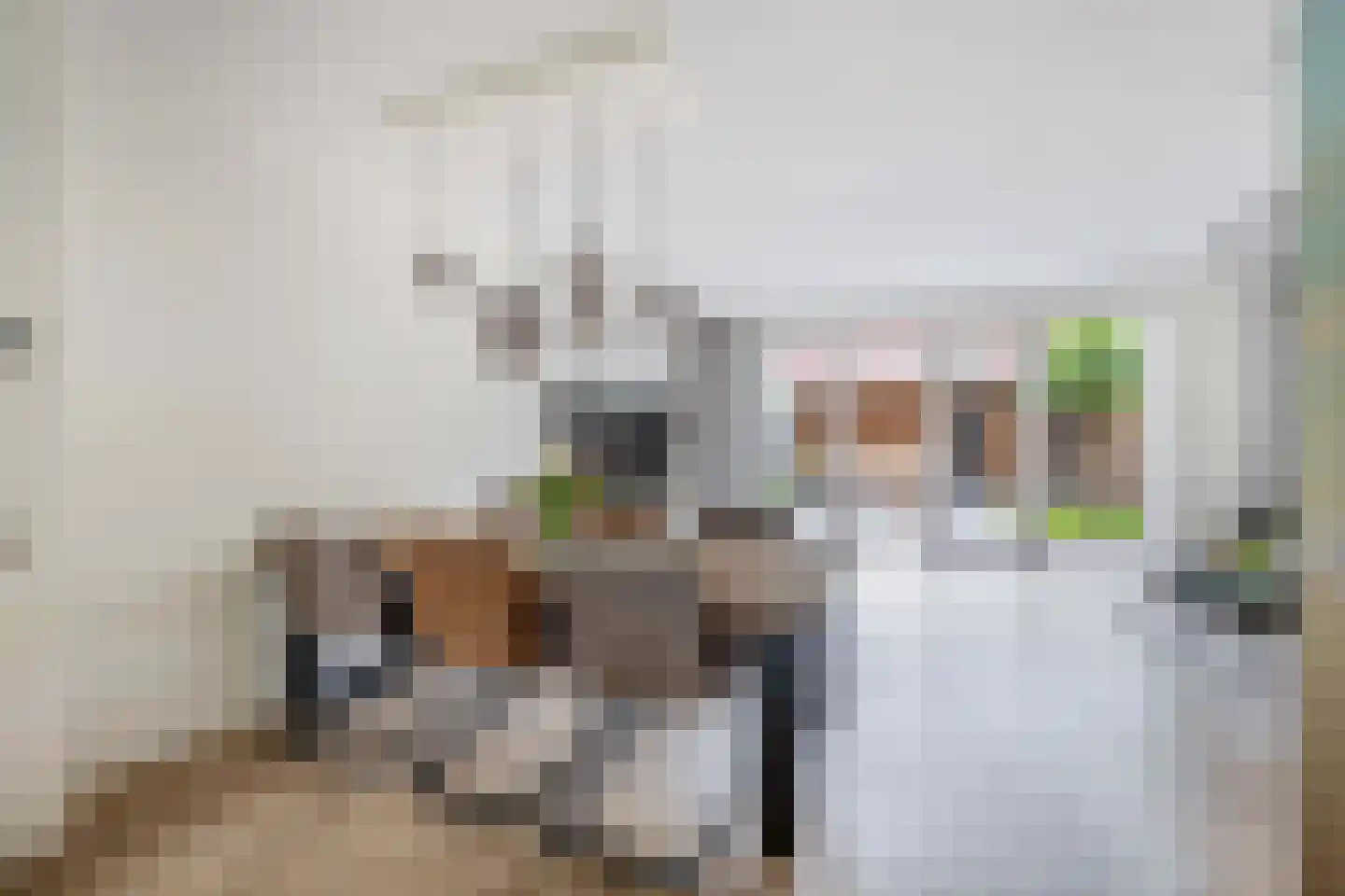 Koning Willem-Alexanderlaan 140 Zevenhuizen thumbnail 8