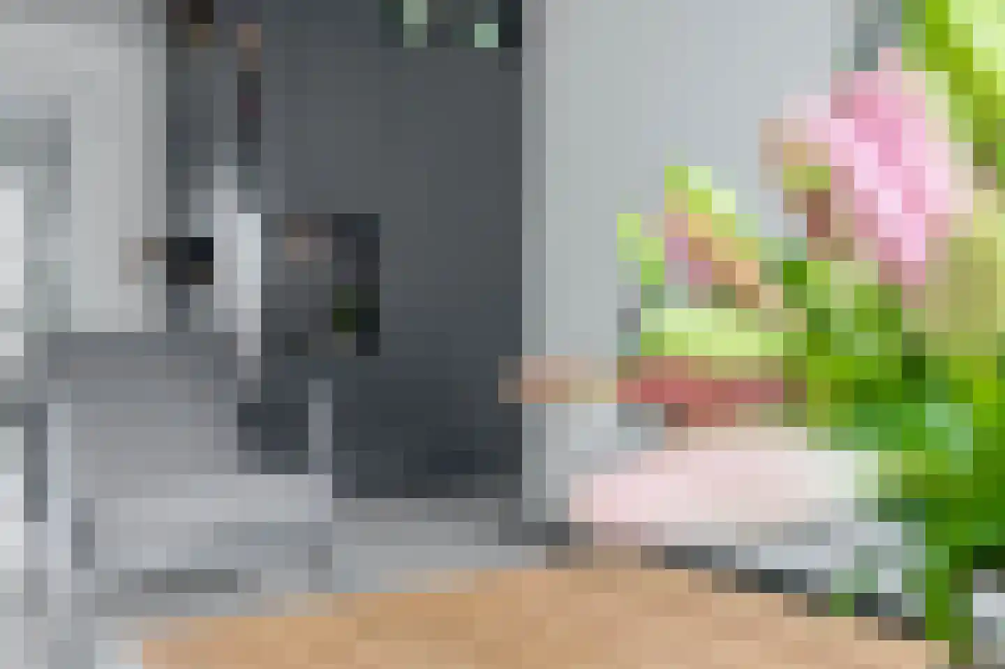 Koning Willem-Alexanderlaan 148 Zevenhuizen thumbnail 13