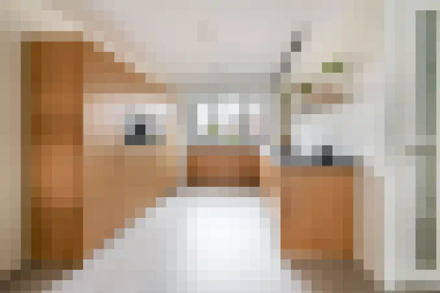 Koning Willem-Alexanderlaan 148 Zevenhuizen thumbnail 14