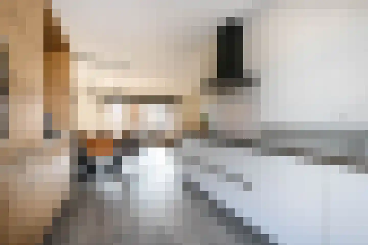 Koning Willem-Alexanderlaan 170 Zevenhuizen thumbnail 12