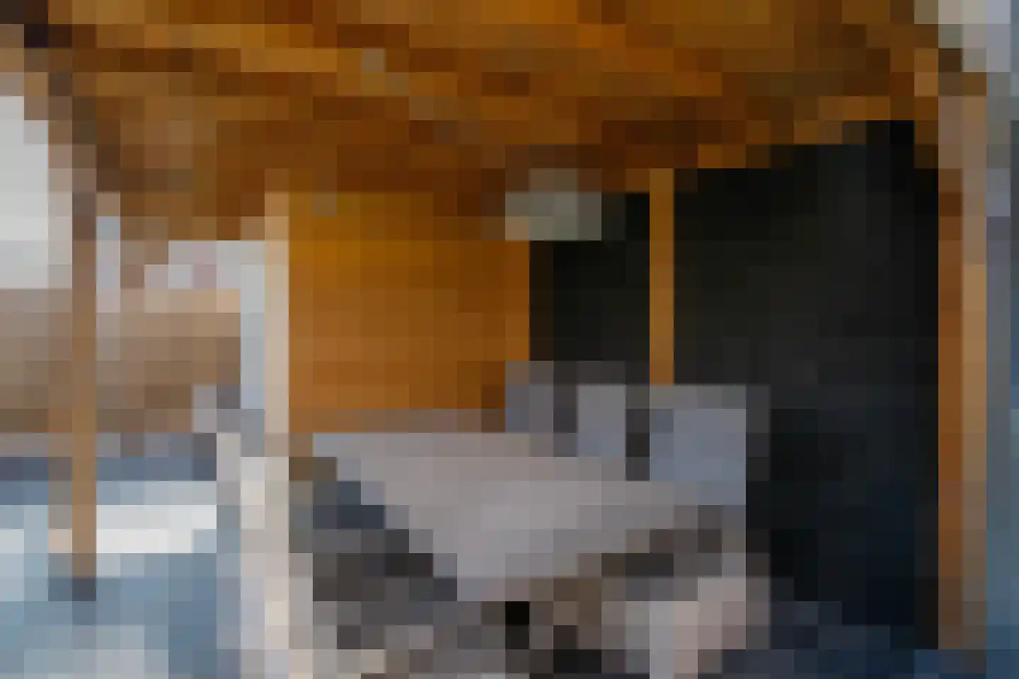 Koning Willem-Alexanderlaan 170 Zevenhuizen thumbnail 34