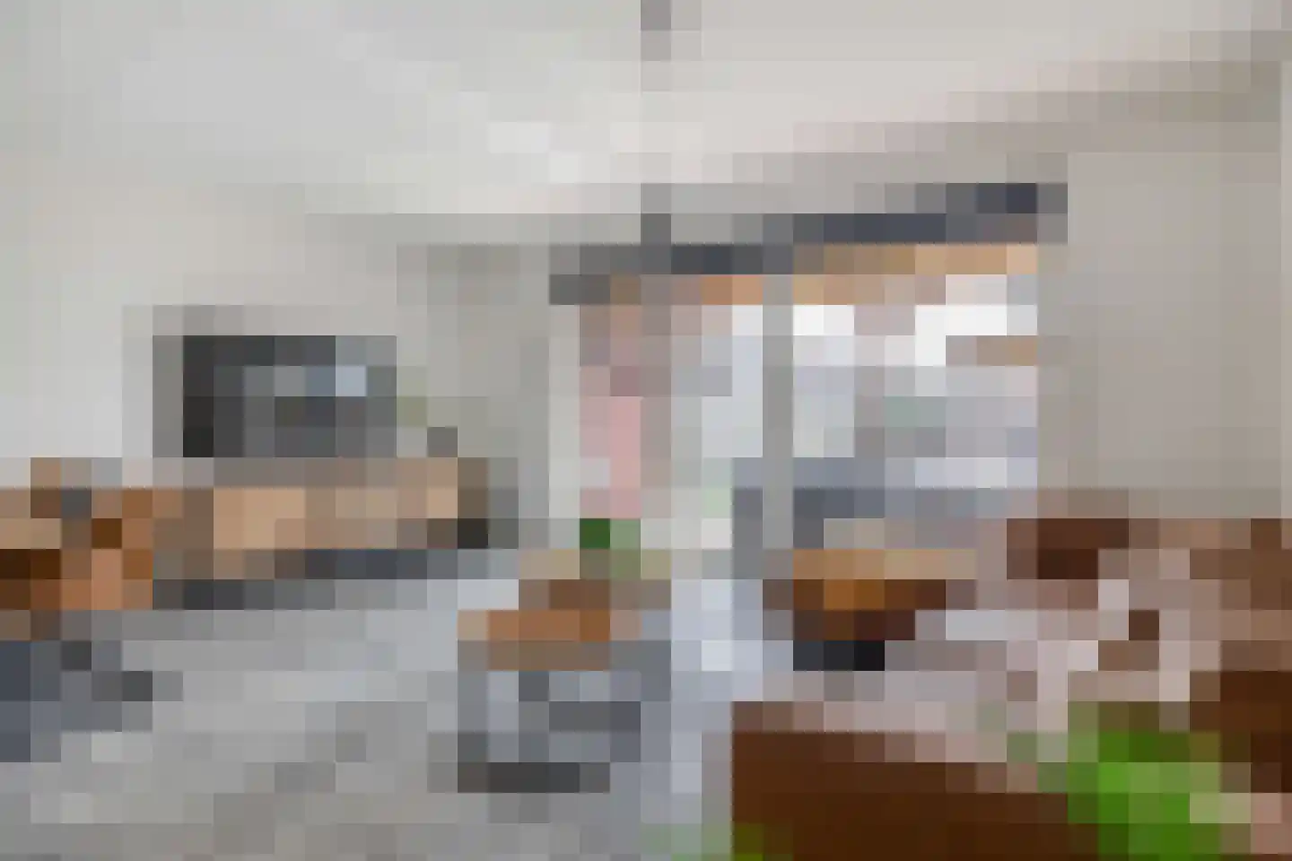 Koning Willem-Alexanderlaan 170 Zevenhuizen thumbnail 7