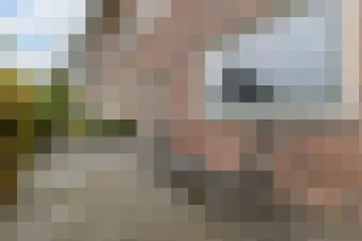 Koning Willem-Alexanderplantsoen 11 Hoofddorp thumbnail 10