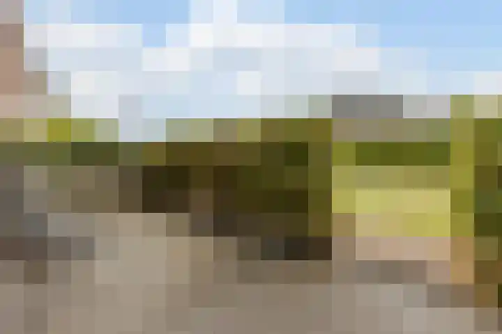 Koning Willem-Alexanderplantsoen 11 Hoofddorp thumbnail 12