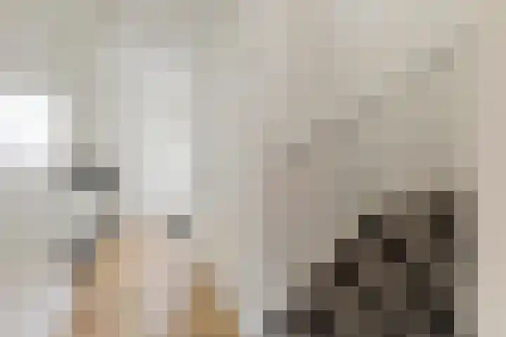 Koning Willem-Alexanderplantsoen 11 Hoofddorp thumbnail 14