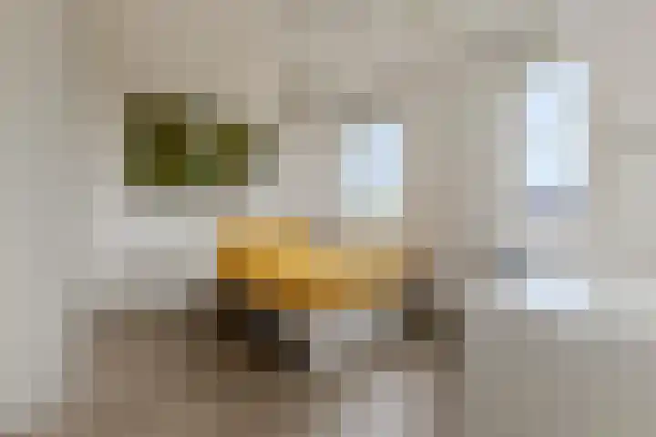 Koning Willem-Alexanderplantsoen 11 Hoofddorp thumbnail 50