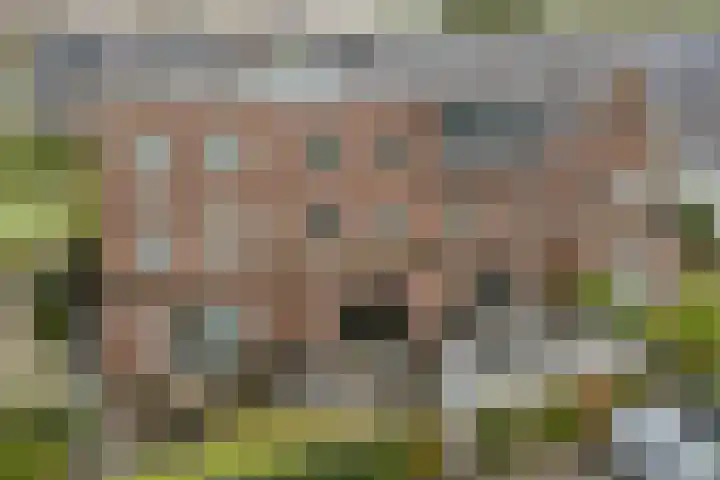 Koning Willem-Alexanderplantsoen 11 Hoofddorp thumbnail 56
