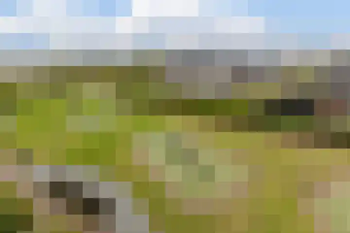 Koning Willem-Alexanderplantsoen 11 Hoofddorp thumbnail 63