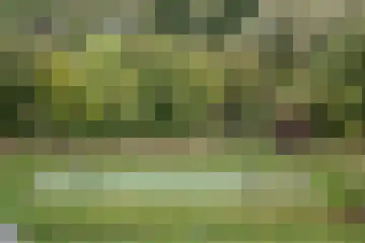 Koning Willem-Alexanderplantsoen 11 Hoofddorp thumbnail 66