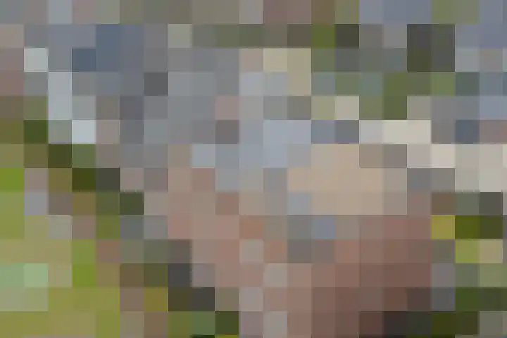 Koning Willem-Alexanderplantsoen 11 Hoofddorp thumbnail 69