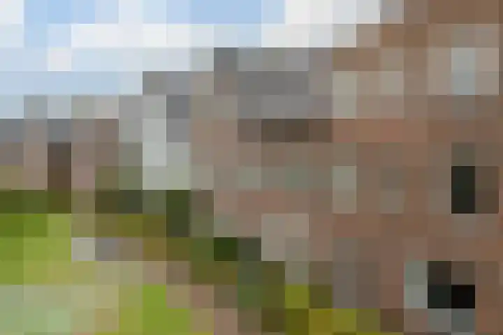 Koning Willem-Alexanderplantsoen 11 Hoofddorp thumbnail 7