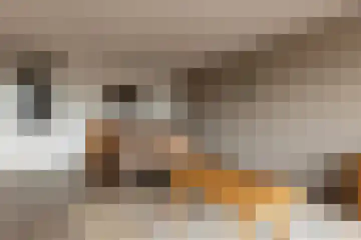 Koning Willem-Alexanderplein 14 Lopik thumbnail 10