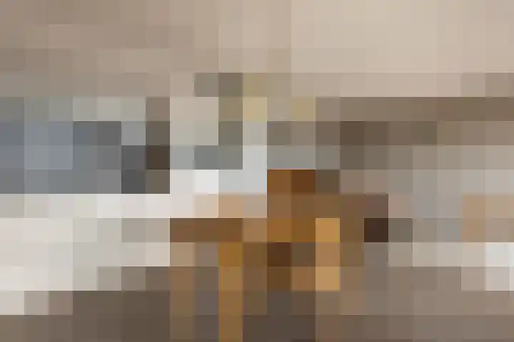 Koning Willem-Alexanderplein 14 Lopik thumbnail 13