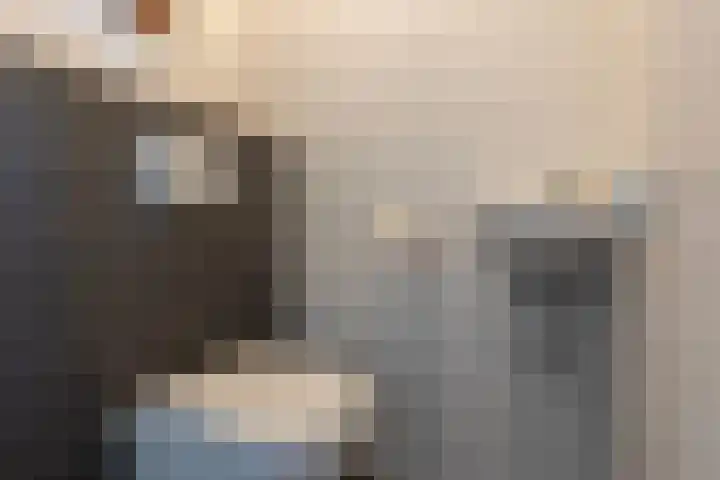 Koning Willem-Alexanderplein 14 Lopik thumbnail 30