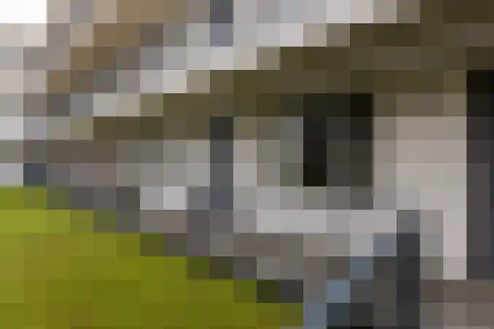 Koning Willem-Alexanderplein 14 Lopik thumbnail 33