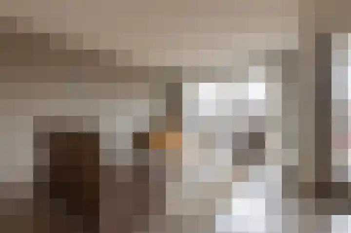 Koning Willem-Alexanderplein 14 Lopik thumbnail 6