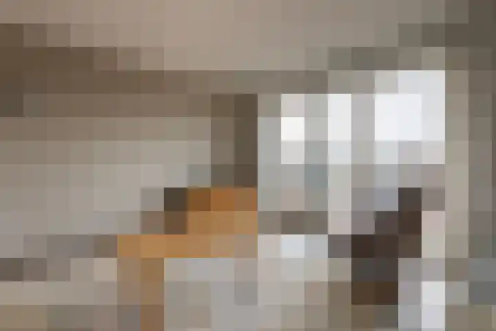 Koning Willem-Alexanderplein 14 Lopik thumbnail 7