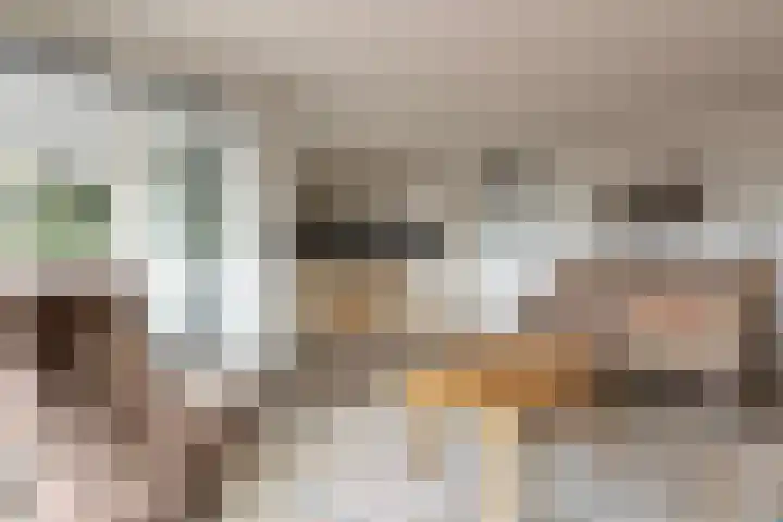 Koning Willem-Alexanderplein 14 Lopik thumbnail 9