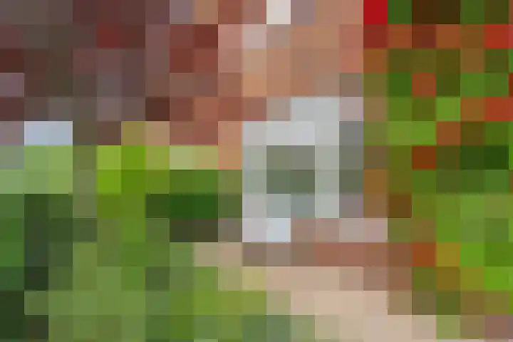 Koning Willem-Alexanderstraat 20 Zwolle thumbnail 6