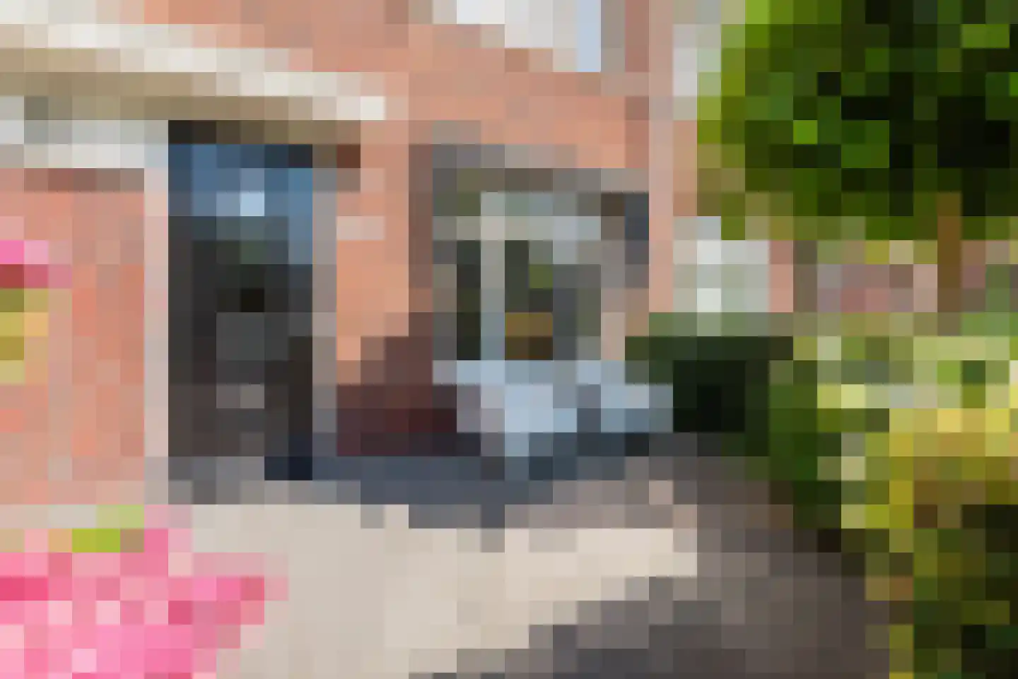 Koning Willem-Alexanderstraat 40 Zwolle thumbnail 49