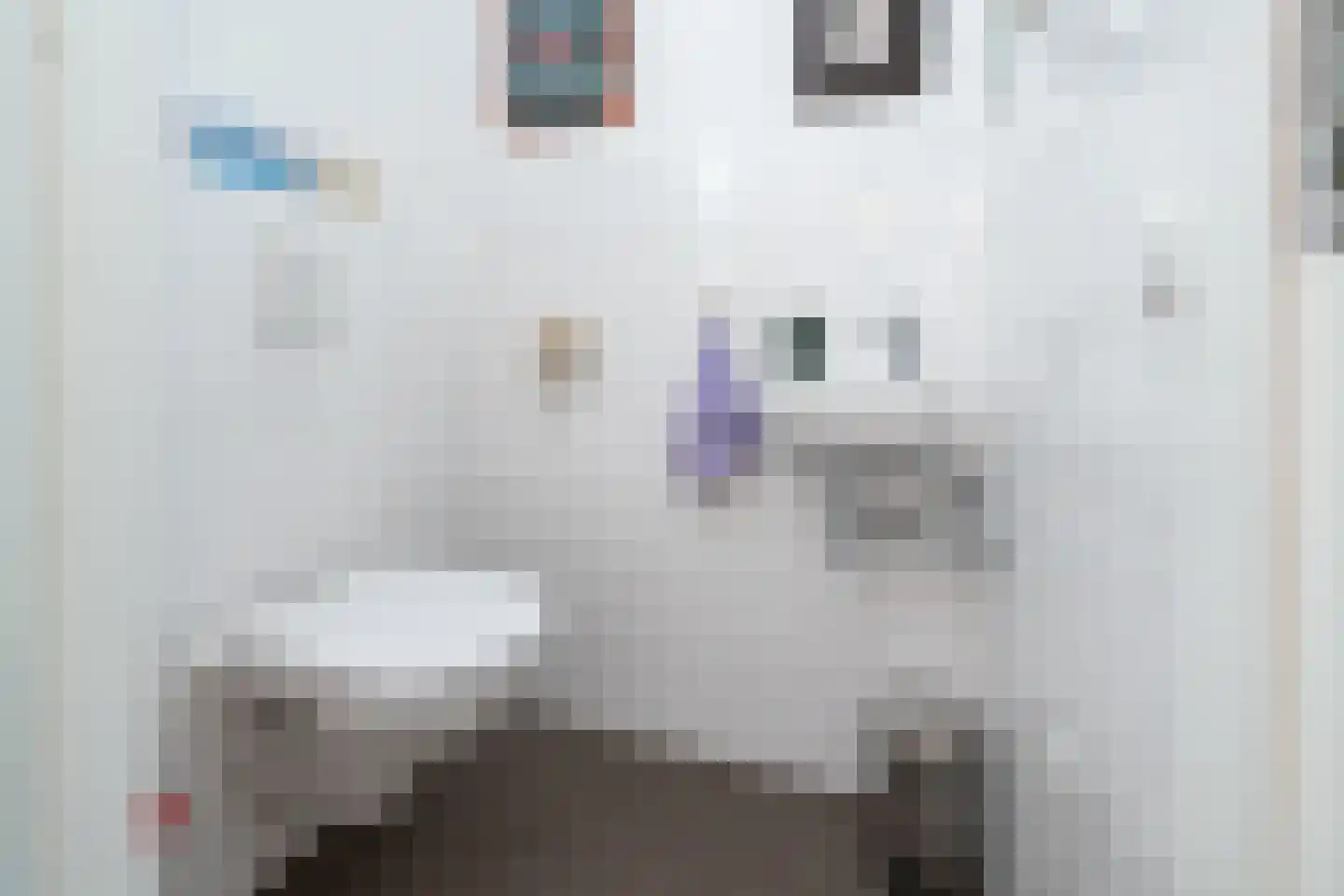Koning Willem-Alexanderstraat 8 Zwolle thumbnail 14