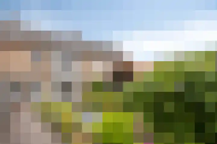 Koning Willem II plein 12 Drunen thumbnail 28