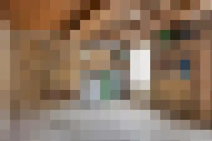 Koning Willem II plein 12 Drunen thumbnail 31