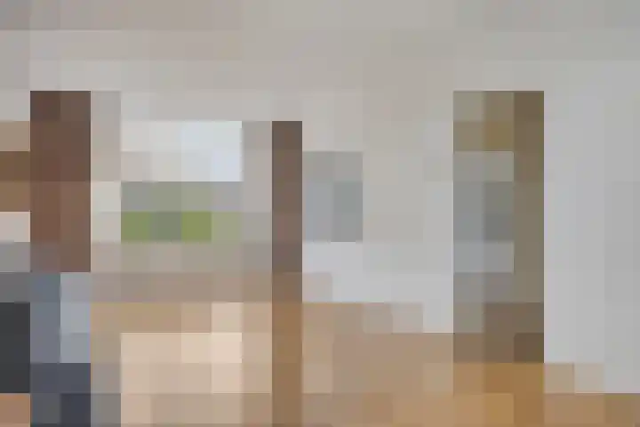 Koning Willem II plein 12 Drunen thumbnail 4
