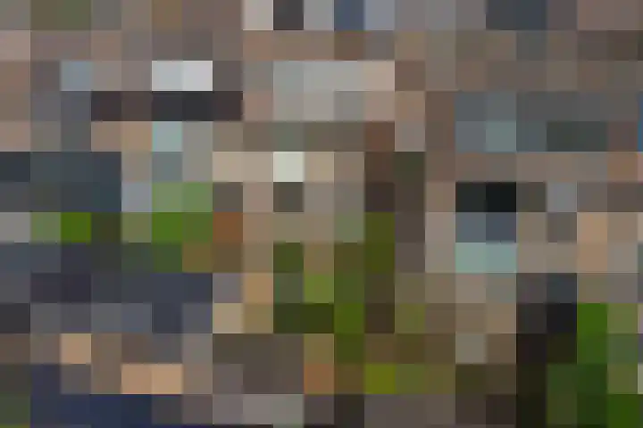 Koning Willem II-straat 7 Waddinxveen thumbnail 5