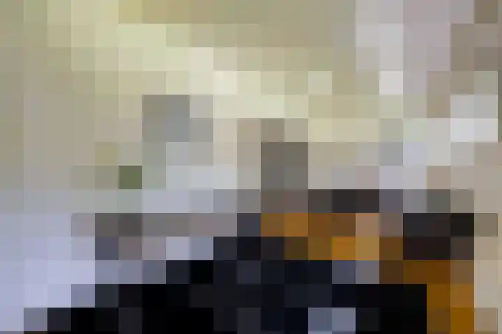 Koning Willem III-laan 8 Blaricum thumbnail 18