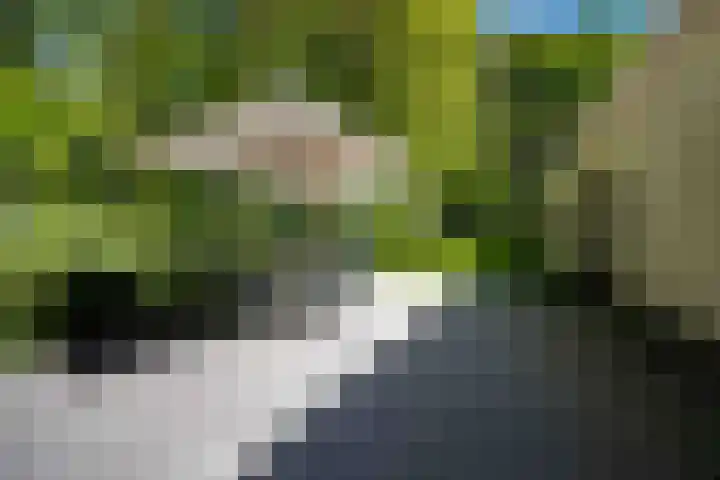 Koning Willem III-laan 8 Blaricum thumbnail 34