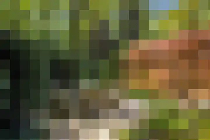 Koning Willem III-laan 8 Blaricum thumbnail 37