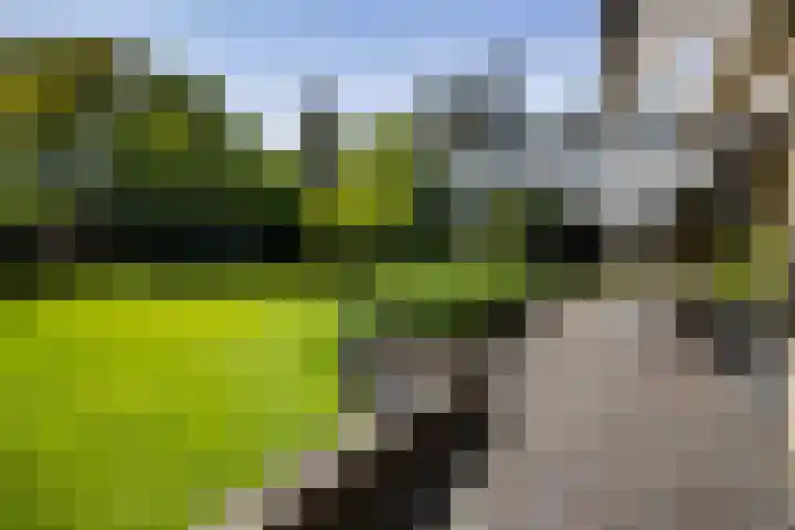 Koning Willem III-laan 8 Blaricum thumbnail 38