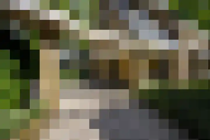 Koning Willem III-laan 8 Blaricum thumbnail 4