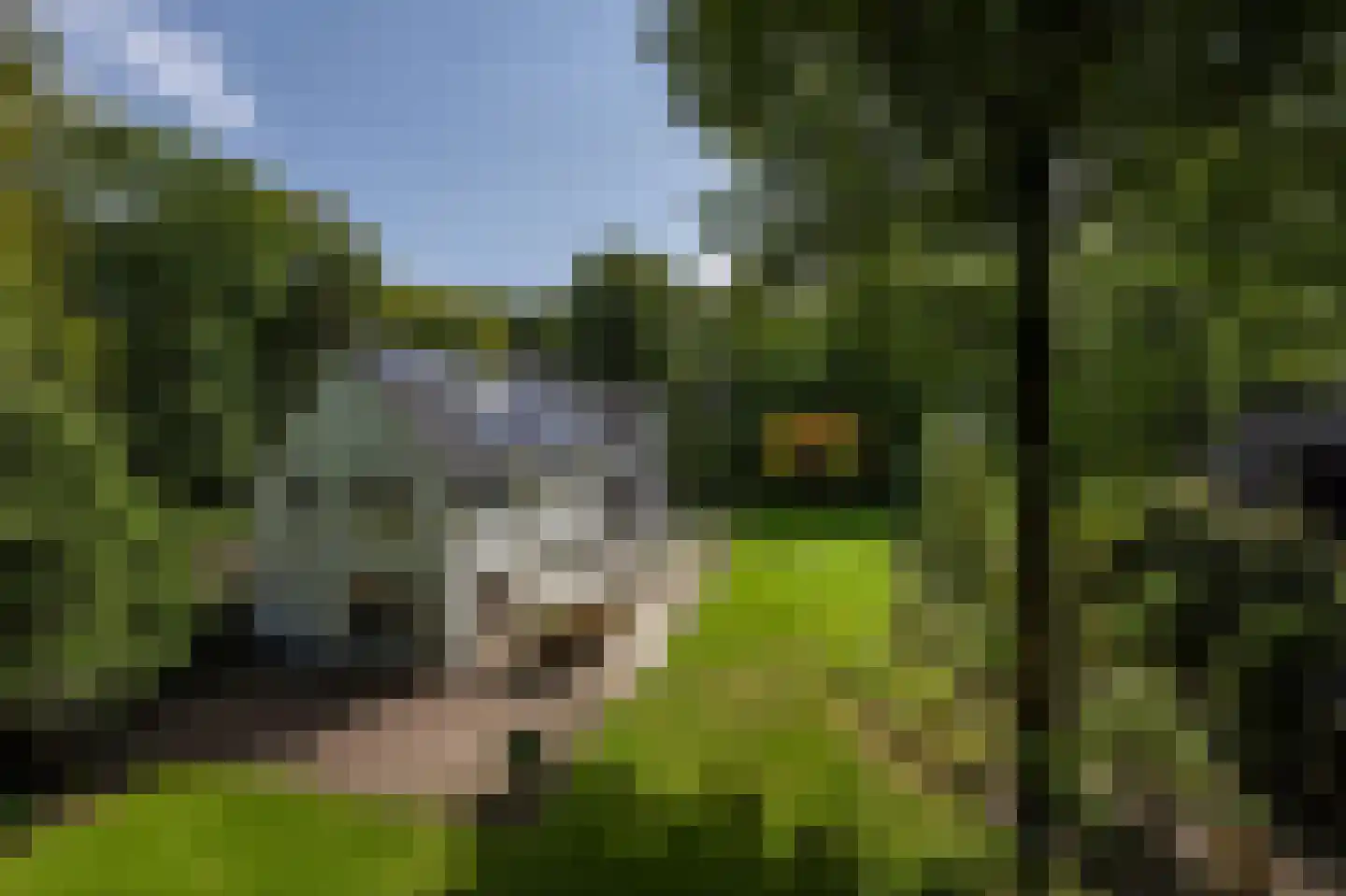 Koning Willem III-laan 9 Blaricum thumbnail 33