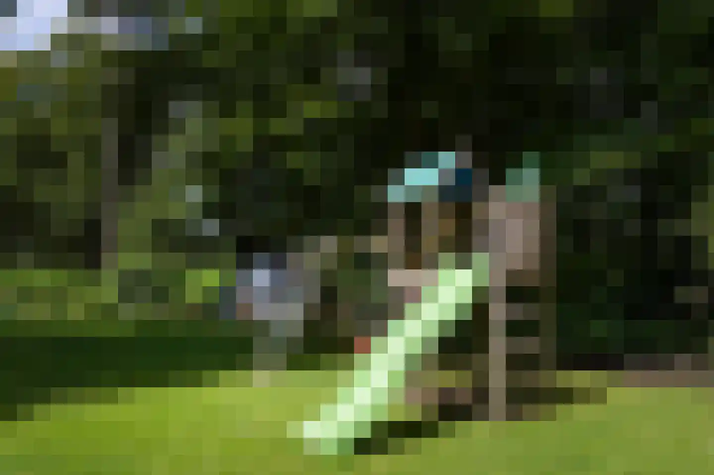 Koning Willem III-laan 9 Blaricum thumbnail 37