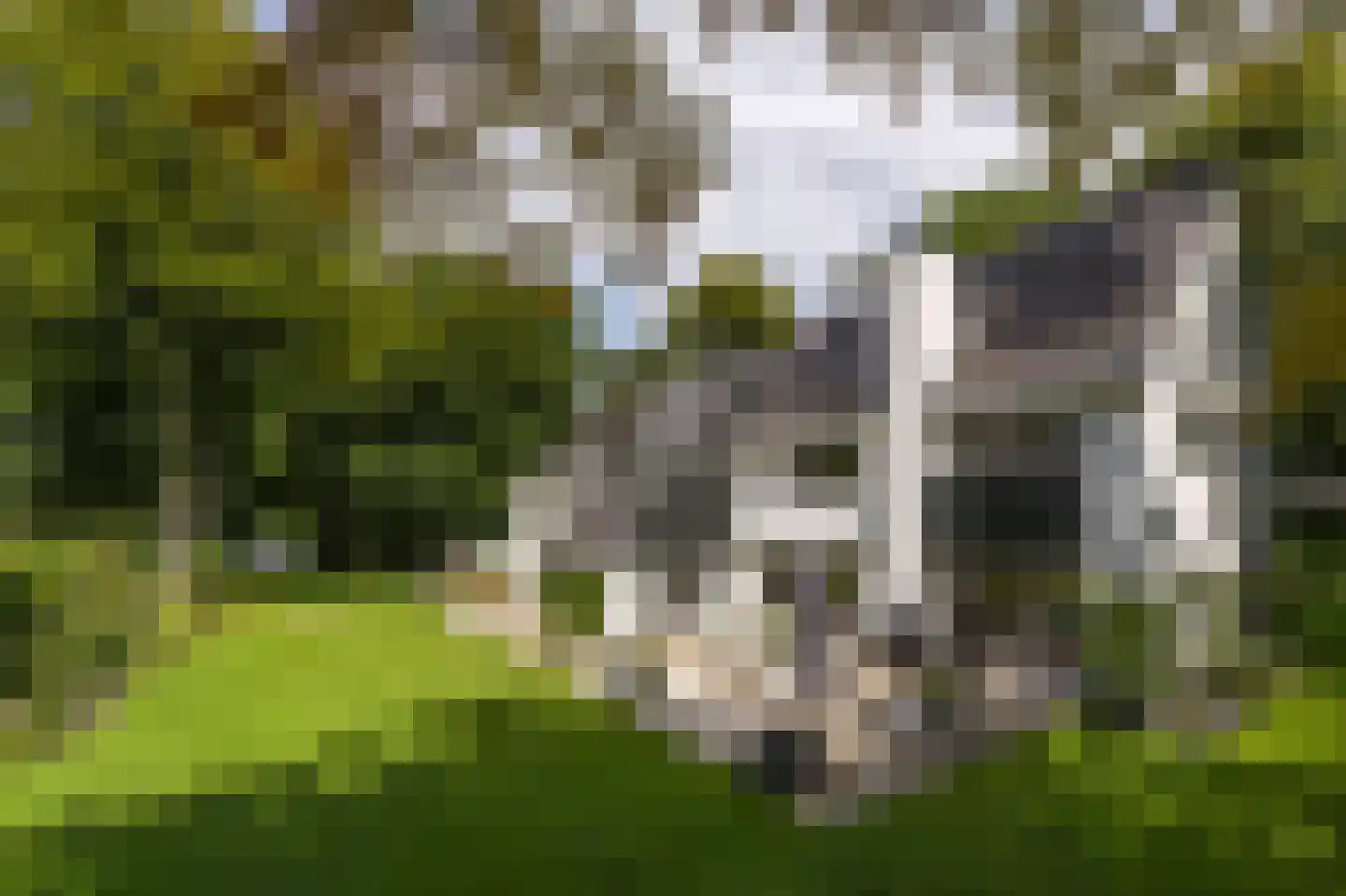 Koning Willem III-laan 9 Blaricum thumbnail 5