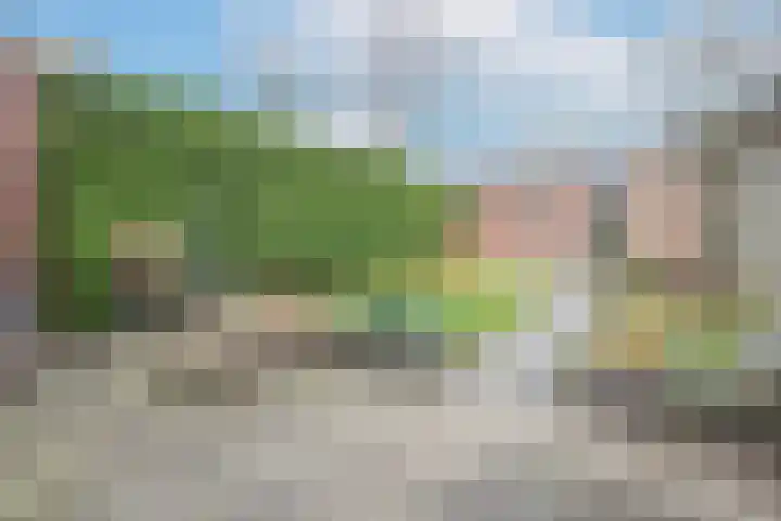 Koning Willem III-straat 7 Woudenberg thumbnail 4