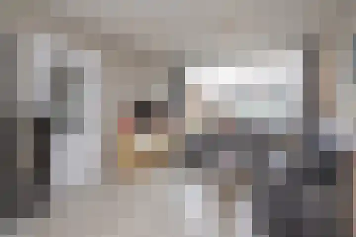 Koning Willem III-straat 7 Woudenberg thumbnail 8