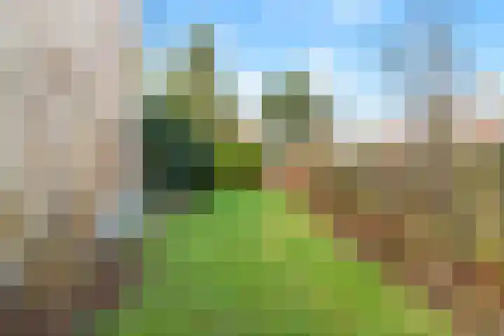 Koning Willemstraat 2 Castricum thumbnail 17