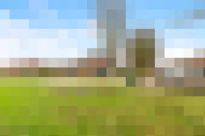 Koning Willemstraat 2 Castricum thumbnail 39