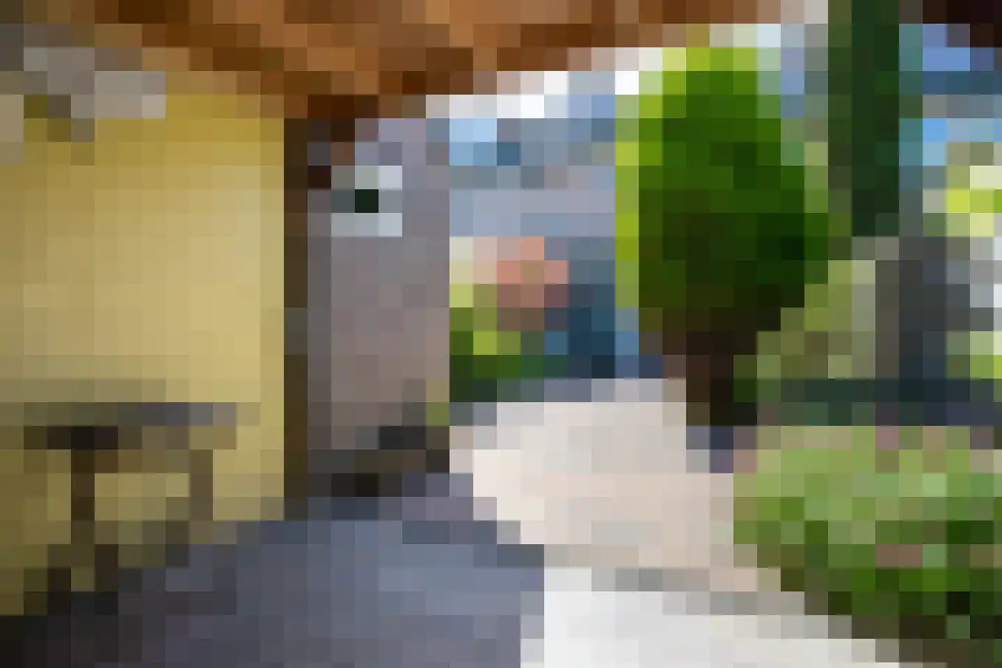 Koning Willemstraat 8 Castricum thumbnail 20