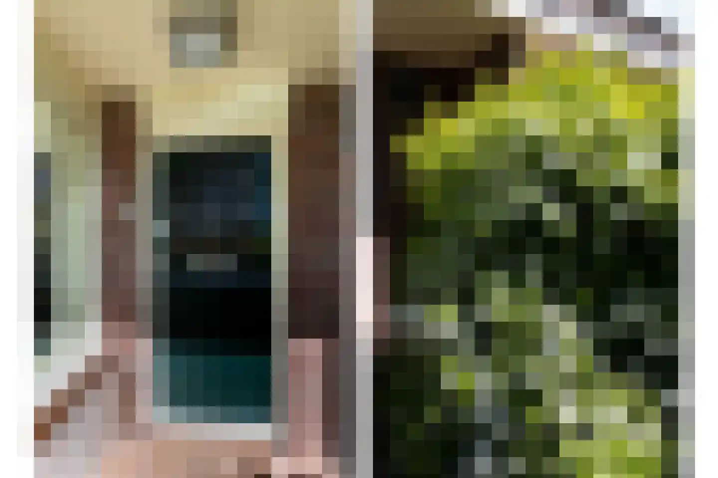 Koning Willemstraat 8 Castricum thumbnail 40