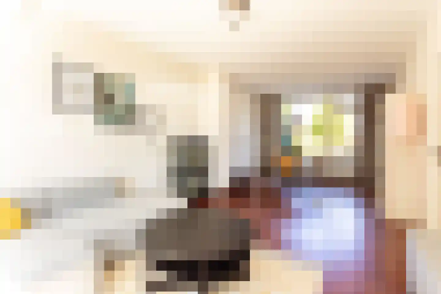 Koning Willemstraat 8 Castricum thumbnail 7